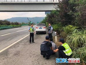 好危險 巴達高速上一小車瘋狂逆行被截停